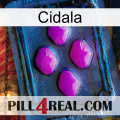 Cidala 04